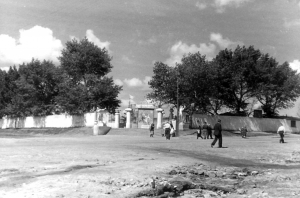 Стадион. 1956 г. 