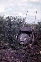 Белгородская область 1943 г.