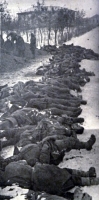 Убитые немцами